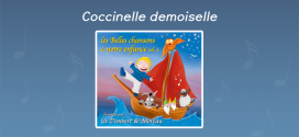 Coccinelle, demoiselle